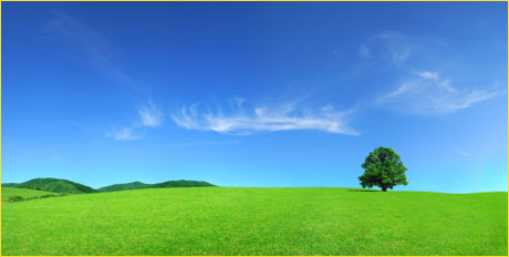 ekolosko gorivo i zastita okoline